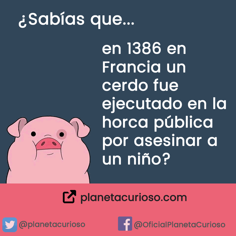 Contenido Efectivo
