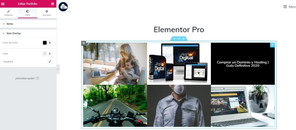 Elementor Pro