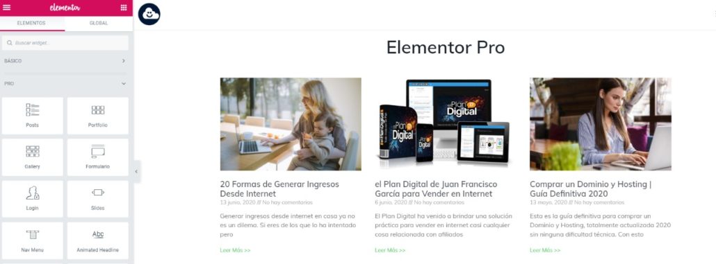 Elementor Pro
